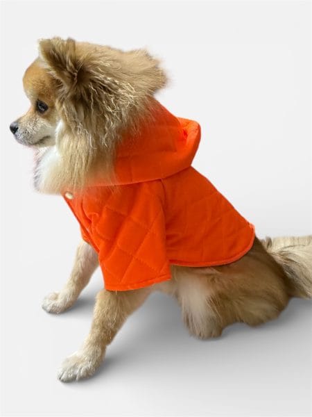 PUP-ART FOSFORLU TURUNCU KÖPEK MONT
