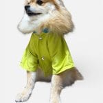 PUP-ART YEŞİL UZUN KOLLU KEDİ KÖPEK KIYAFETİ