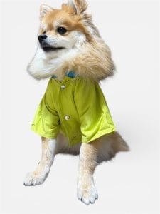 PUP-ART YEŞİL UZUN KOLLU KEDİ KÖPEK KIYAFETİ