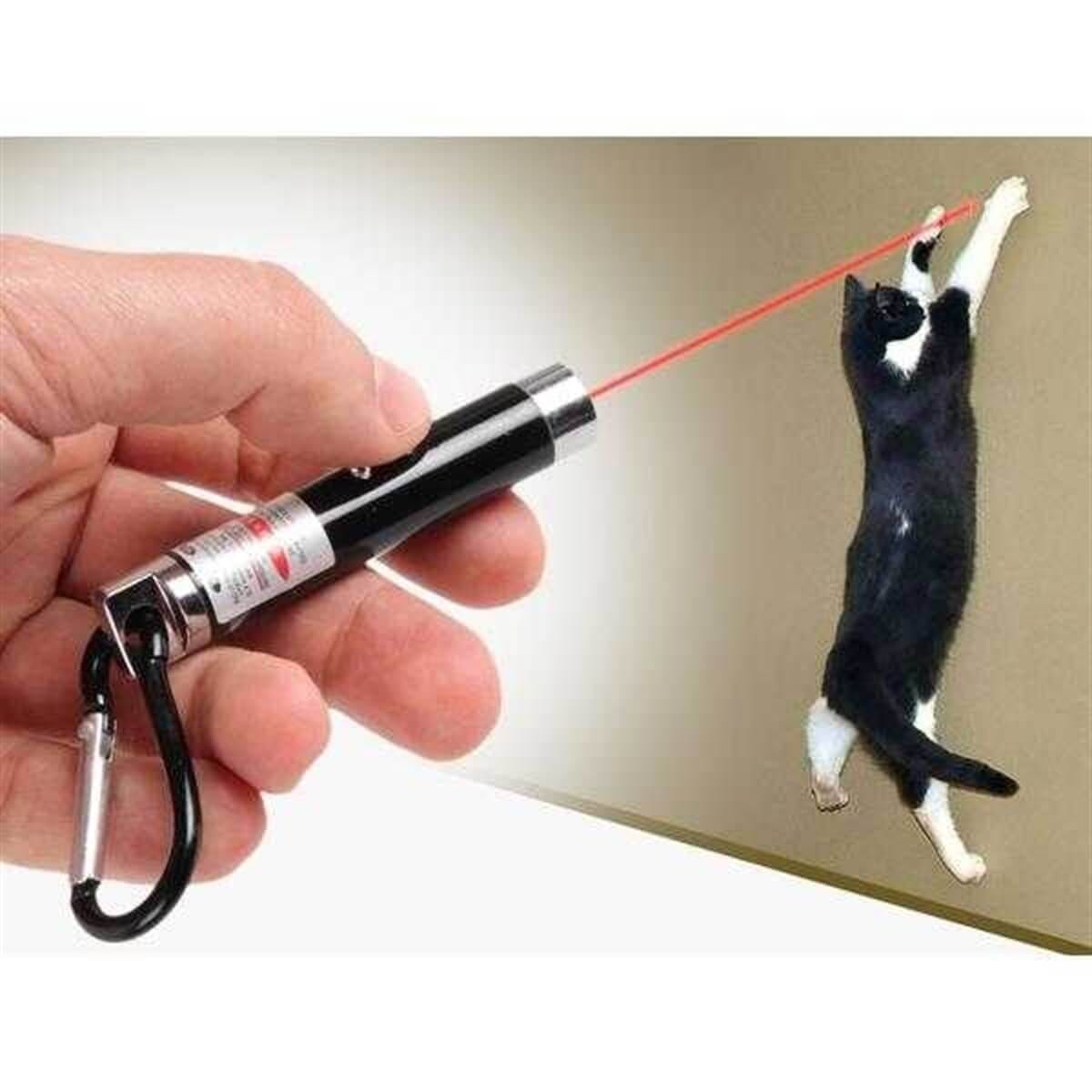 EMG 3 in 1 Kedi Lazer Oyuncağı