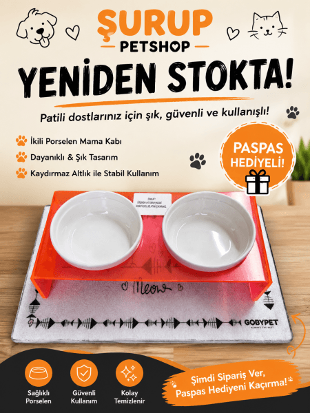 Gobypet İKİLİ SERAMİK MAMA KABI