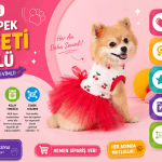 Atelyu Kedi Köpek Kıyafeti Tütülü