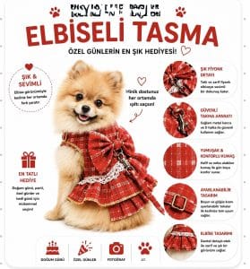 FOR PET ELBİSELİ TASMA SETİ