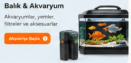 Balık ve Akvaryum
