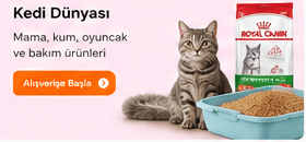Kedi Dünyası