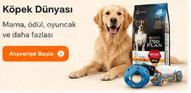 Köpek Dünyası