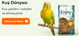 Kuş Dünyası