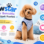 PAWSTAR NAZAR BONCUK DESENLİ KEDİ KÖPEK KIYAFETİ