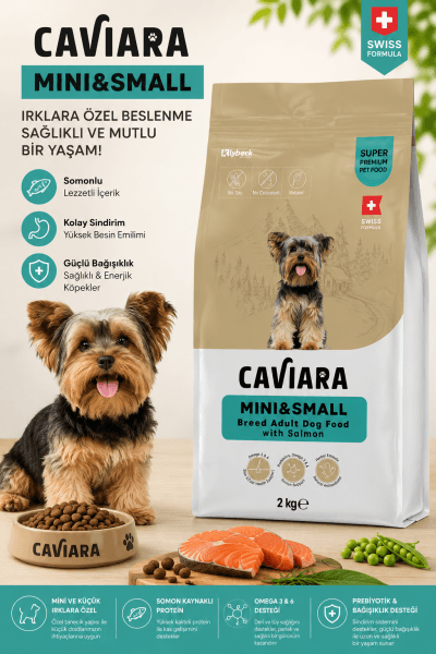 CAVİARA MINI&SMALL SOMONLU YETİŞKİN KÖPEK MAMASI