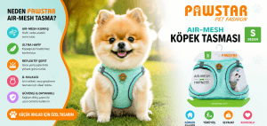 Pawstar Air-Mesh Köpek Tasması (S Beden)