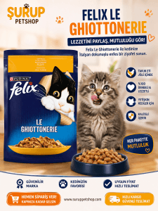 Felix Tavuk Etli Yaş Mama 85 gr ( 5 paket )