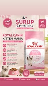 Royal Canin Yavru Kedi Maması 10 kg