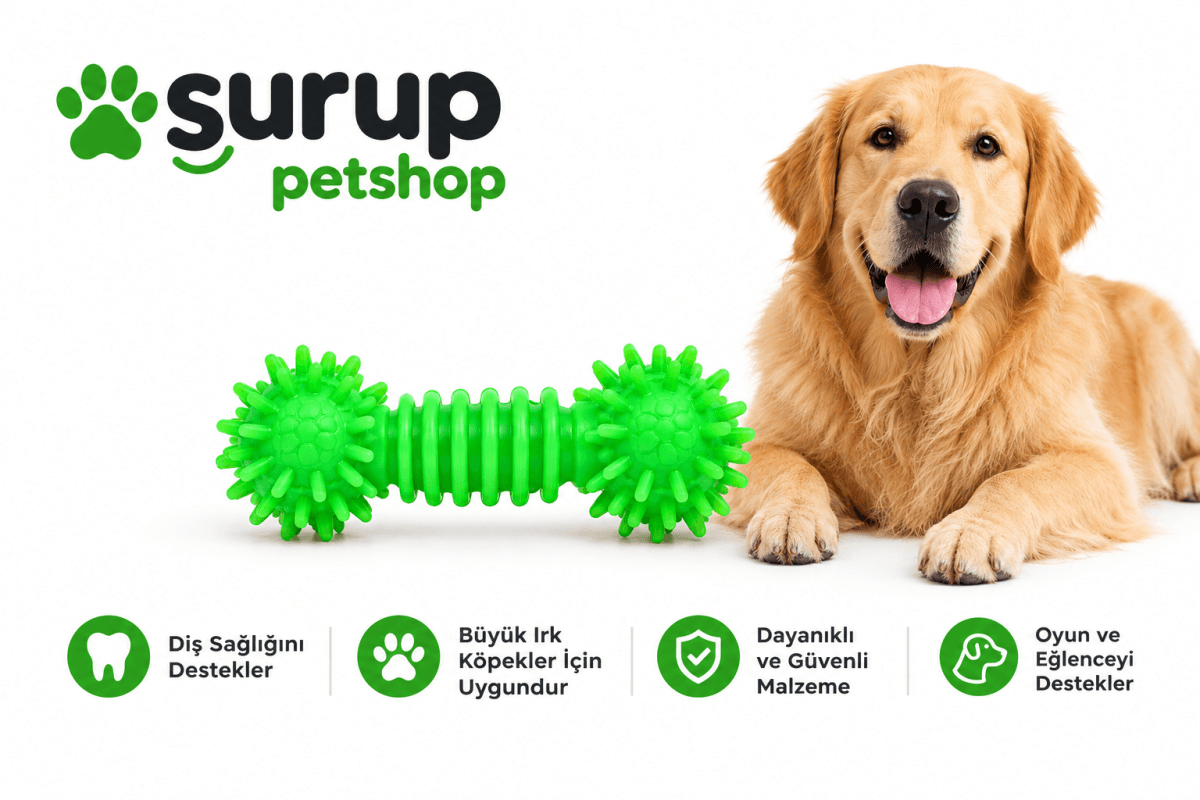 Büyük Irk Köpek Oyuncağı