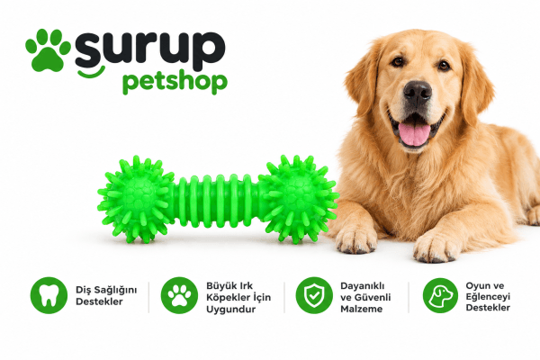Büyük Irk Köpek Oyuncağı