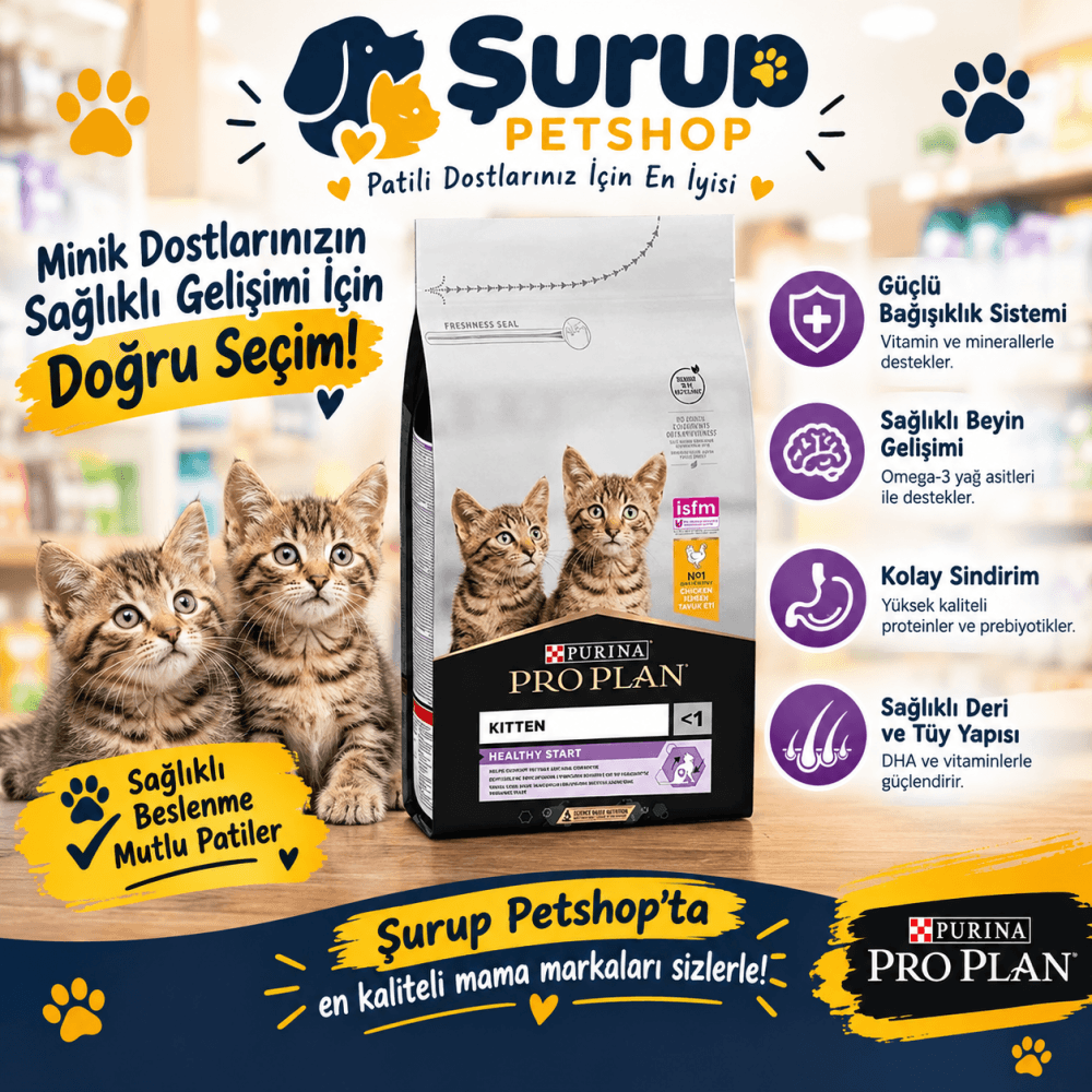 Pro Plan Kitten Yavru Kedi Maması 1,5 KG