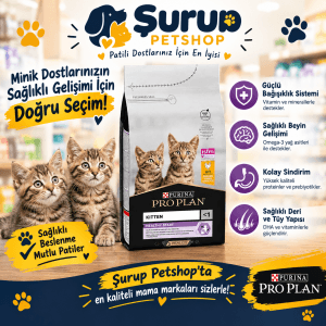 Pro Plan Kitten Yavru Kedi Maması 1,5 KG