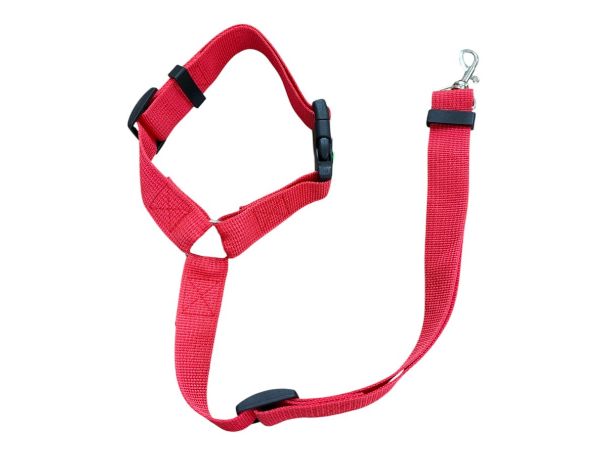 Köpekler İçin Araç İçi Emniyet Tasması